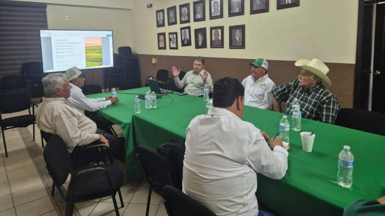 Líder de la Asociación de Agricultores del Río Baluarte se reunió con representantes de una empresa para analizar un esquema de bonos de carbono en cultivos de mango.