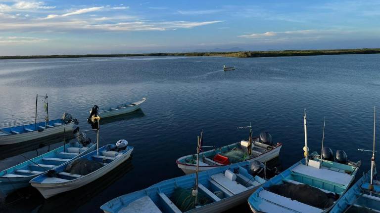 Este jueves, el conversatorio ‘Dautillos La vida mar adentro’