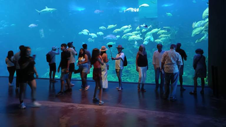 Los cruceristas se enamoran del Gran Acuario Mazatlán