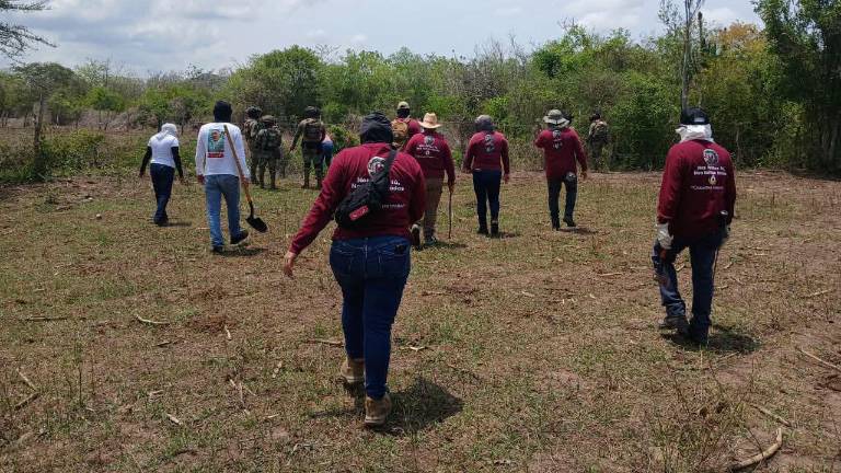 Los colectivos de búsqueda en el sur de Sinaloa denuncian que no hay respaldo de parte de las autoridades estatales.