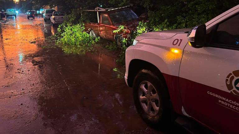 Cuatro personas, entre ellas dos menores de edad, fueran arrastradas por la corriente de un arroyo en el poblado de Carrizalejo.