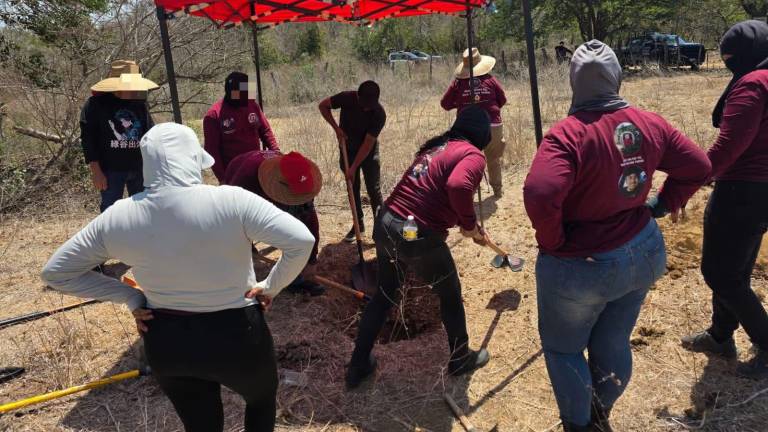 Integrantes del colectivo realizaron la búsqueda en El Verde, Concordia, con recursos propios y sin acompañamiento de la Comisión Estatal de Búsqueda de Sinaloa.