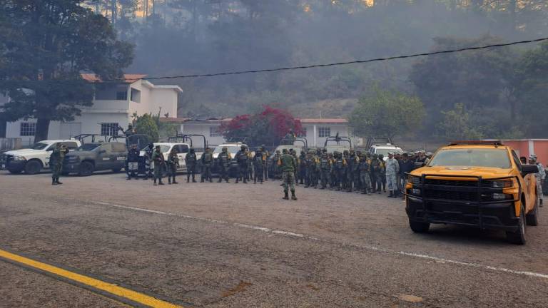 Escuinapa apoya en el incendio forestal en Loberas, Concordia