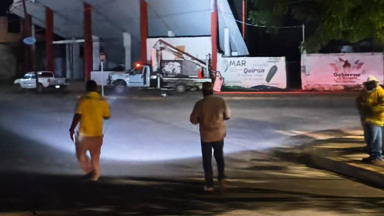 Personal de Protección Civil y Vectores realizaron el operativo.
