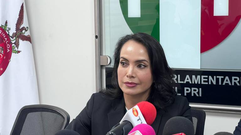 La Diputada local por el PRI Irma Moreno Ovalles.
