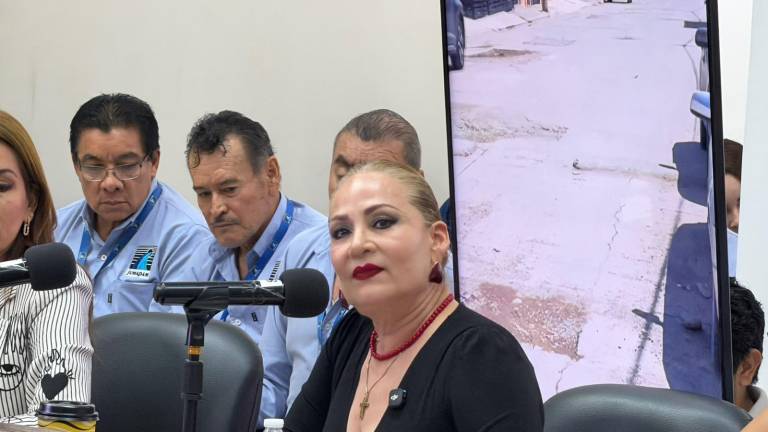 Chollet Morán sostuvo que no es suficiente conocer la situación de la infraestructura mediante informes y fotografías, por lo que propuso que se constaten directamente las condiciones de las plantas.