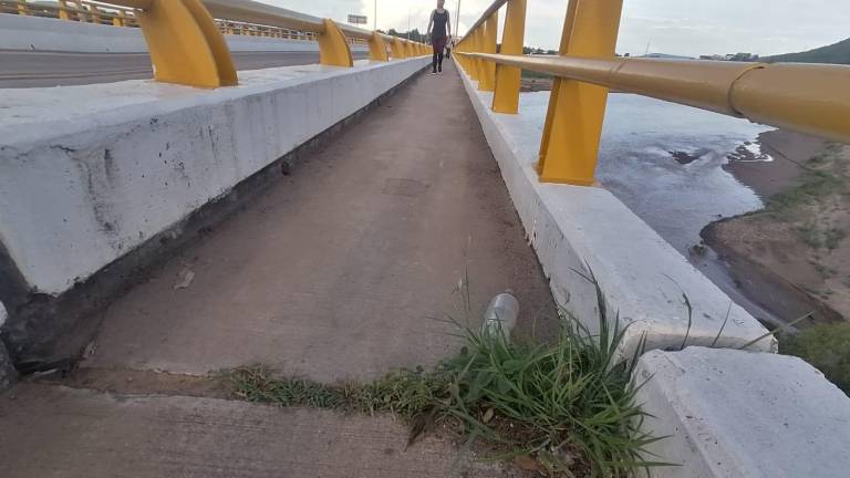 Puente del Río Baluarte, en Rosario, luce en el olvido