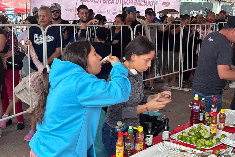 Realizan el Festival del Ostión 2025 en Altata para reactivar la economía y turismo