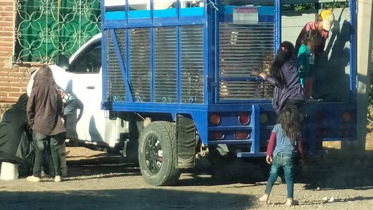 Niños son trasladados al campo en Rosario en camionetas que no cuentan con medidas de seguridad.