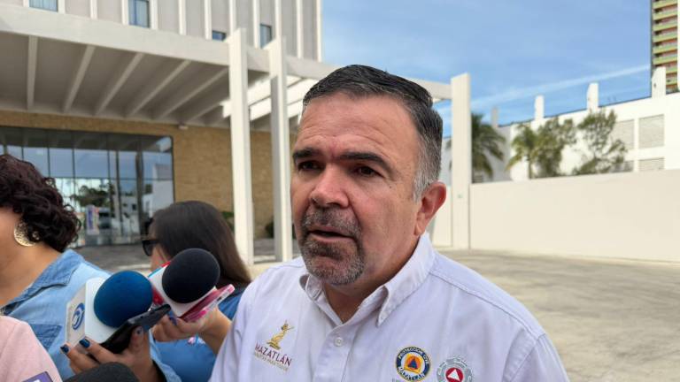 Osuna Tirado señaló que este trabajo se lleva a cabo en coordinación de Protección Civil y el Instituto Municipal de Cultura, Turismo y Arte.