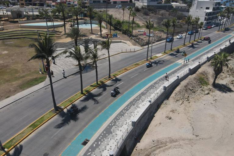 Ecologistas critican falta de soluciones reales tras la tala de dos palmeras en Mazatlán