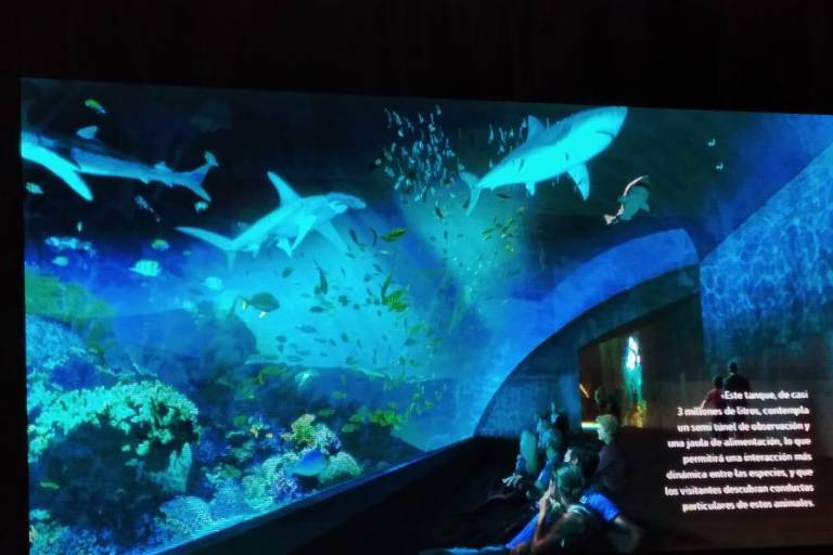 Contará nuevo Acuario Mar de Cortés de Mazatlán con un lago de 200 millones de litros de agua: Zerecero