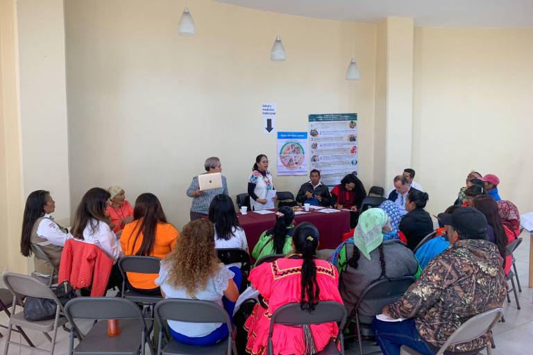 Plan de Justicia de la Sierra Tarahumara defiende derechos inalienables de los pueblos indígenas a sus tierras, bosques y agua