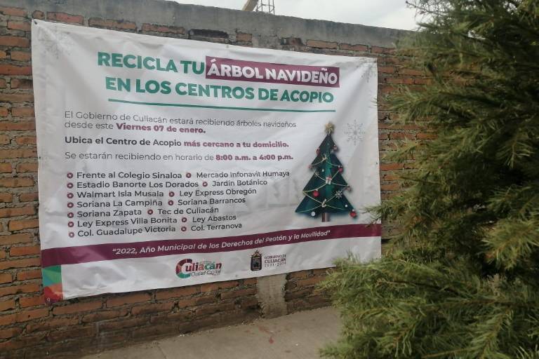 No deseches tu árbol de Navidad, recíclalo en los centros de acopio de Culiacán