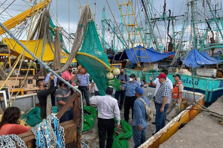 Hay $14 millones para inspección y vigilancia en veda de camarón: Pesca