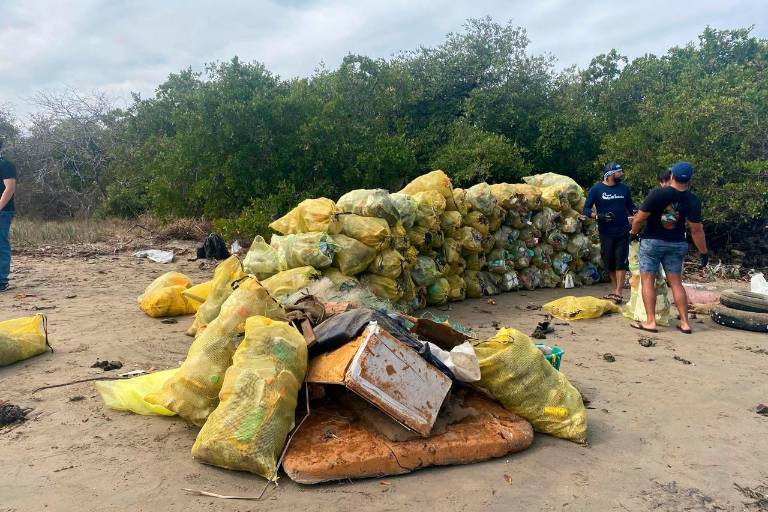 Y la historia continúa...