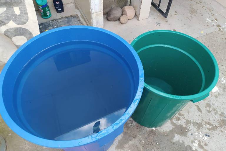 Padece desabasto toda la Ciudad: Jumapam