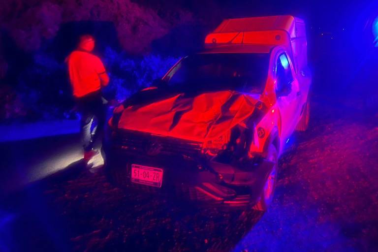 Choca camioneta de paquetería contra vaca en Rosario