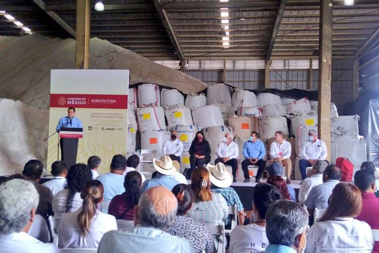 Disminución de precio de fertilizante reporta ahorro de mil millones de pesos a agricultura comercial