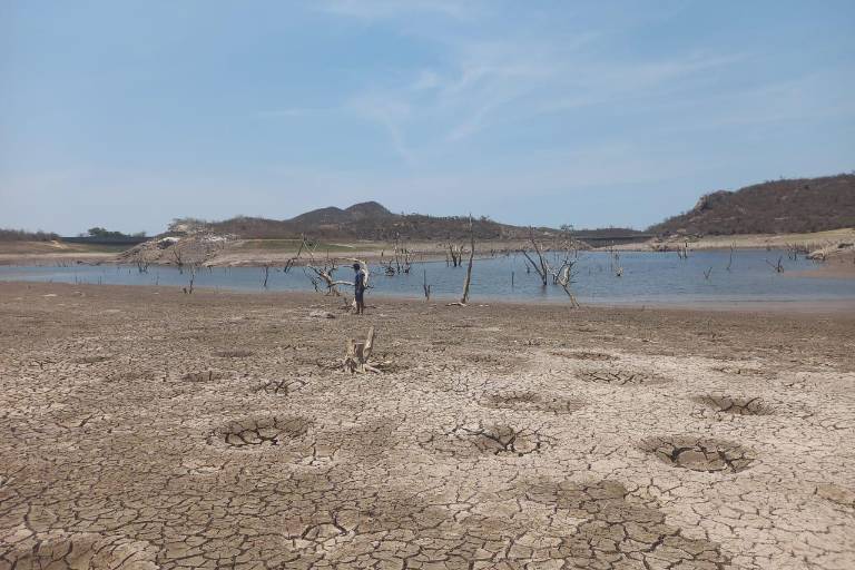 Alrededor de 128 mil personas se han visto afectadas por sequía; Ceapas anuncia apoyo de $5 millones