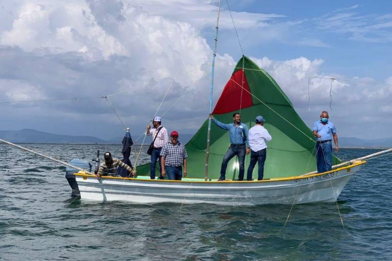 Otorga Gobierno de México una facilidad administrativa a productores pesqueros socios o integrantes de Cooperativas de producción que cuenten con concesión o permiso del Gobierno Federal para explotar los recursos marinos o silvícolas