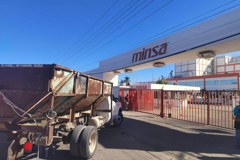 Campesinos de Sinaloa acusan colapso de precios y exigen garantías reales para el maíz