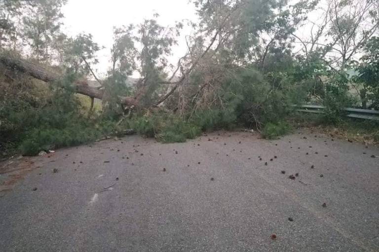 Habitantes de Pantelhó, Chiapas, cierran accesos al municipio, denuncian asesinatos y exigen seguridad