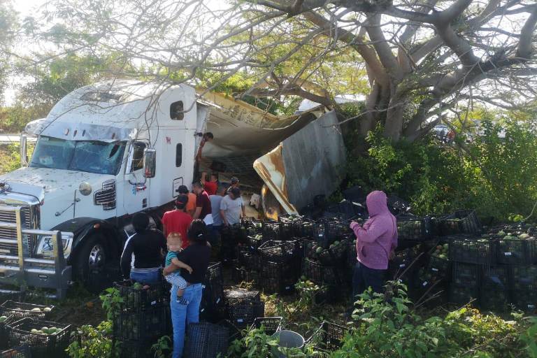 Se accidenta tráiler en la Maxipista; rapiñan cientos de mangos