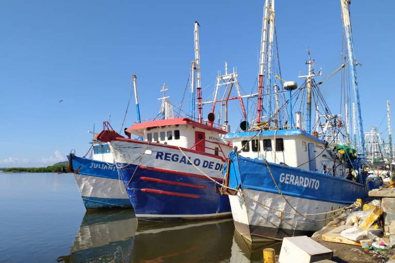 Confía Unión de Armadores en que Estados Unidos otorgará nuevamente la certificación al camarón mexicano de altamar