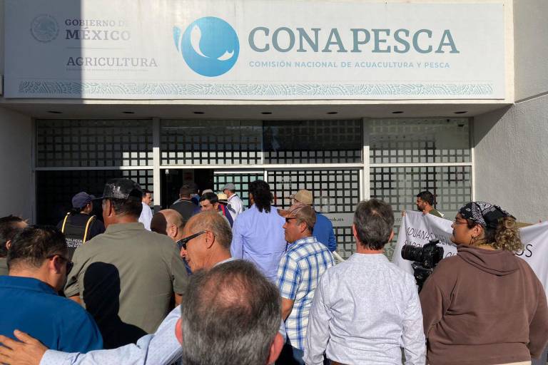 Atiende Aduana a acuacultores y prevén soluciones la próxima semana sobre el camarón extranjero
