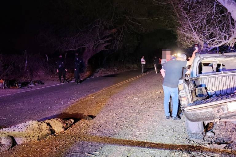 Atropellan a cocodrilo y luego mueren al chocar con árbol en Eldorado