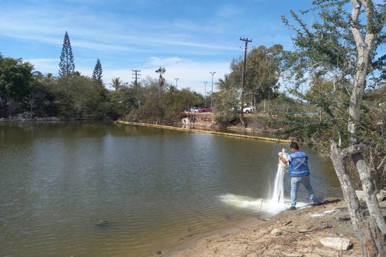 Existen en Sinaloa descargas de aguas residuales sin tratar que caen al río, arroyo, canal o dren