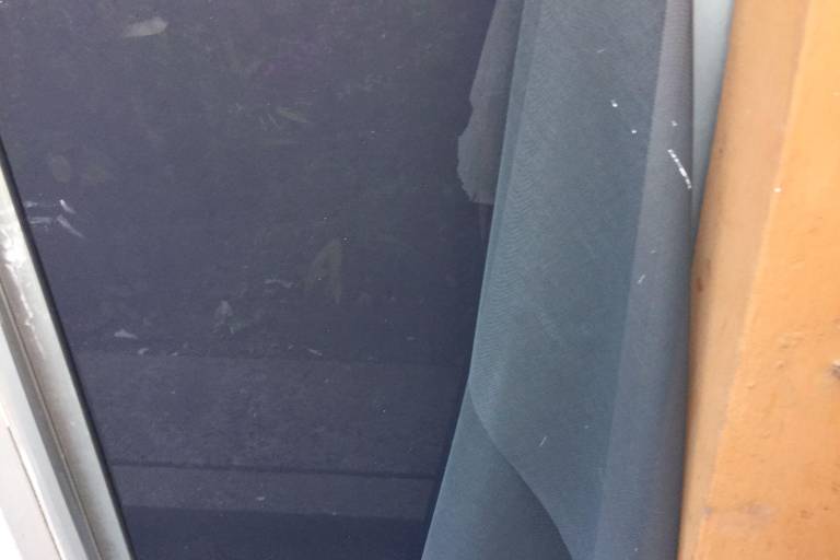 En Mazatlán roban local de pizzas de Fundación Down