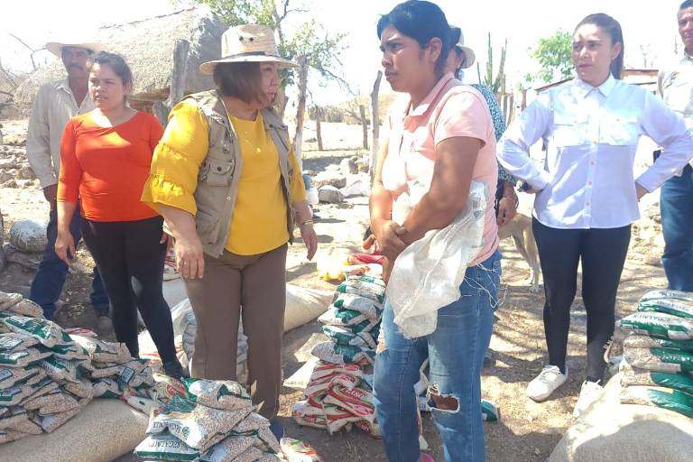 Visita la Sebides a las comunidades indígenas de Escuinapa