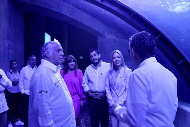 Gran Acuario Mazatlán va a detonar la plaza: Torruco