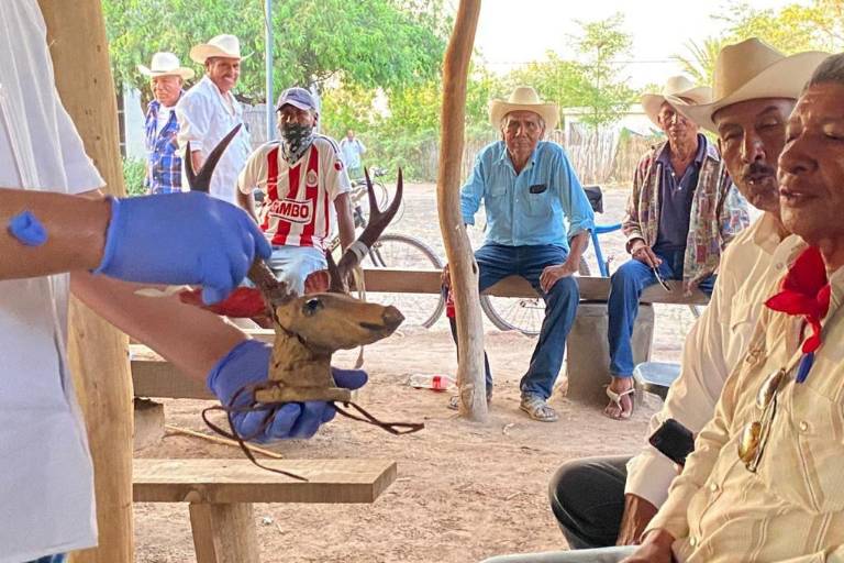 En ceremonia histórica, pueblo yaqui recibe el Maaso Koba y objetos ceremoniales repatriados desde Suecia