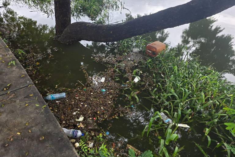 Por lluvias lagunas en Rosario se llenan no solo de agua también de basura