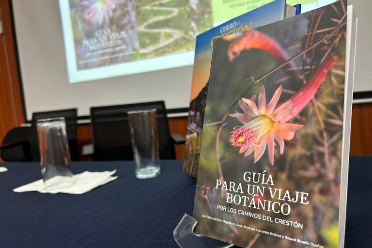 Presentan biólogos e investigadores guía botánica del Cerro del Crestón en Mazatlán
