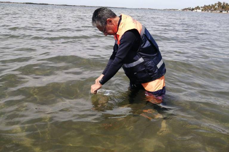 Todas las playas de Sinaloa son aptas para bañistas en Semana Santa, informa Coepriss