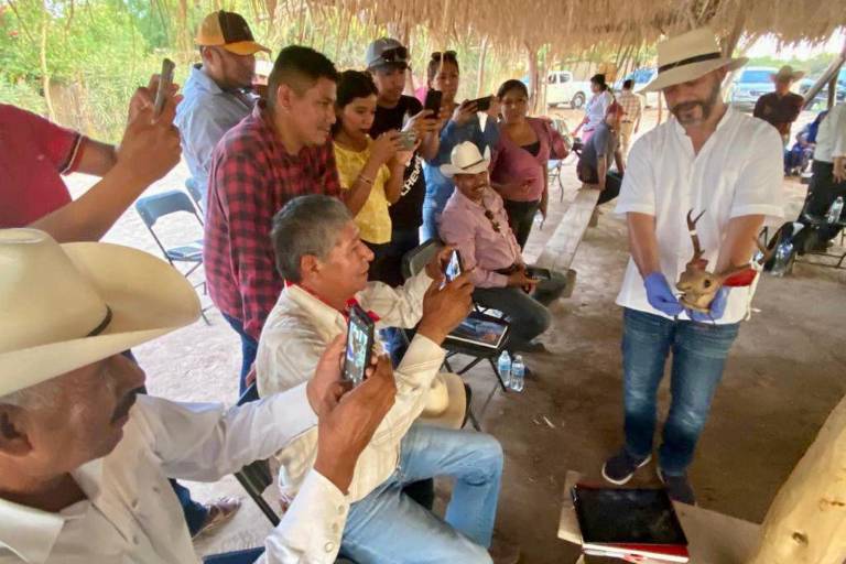 En ceremonia histórica, pueblo yaqui recibe el Maaso Koba y objetos ceremoniales repatriados desde Suecia