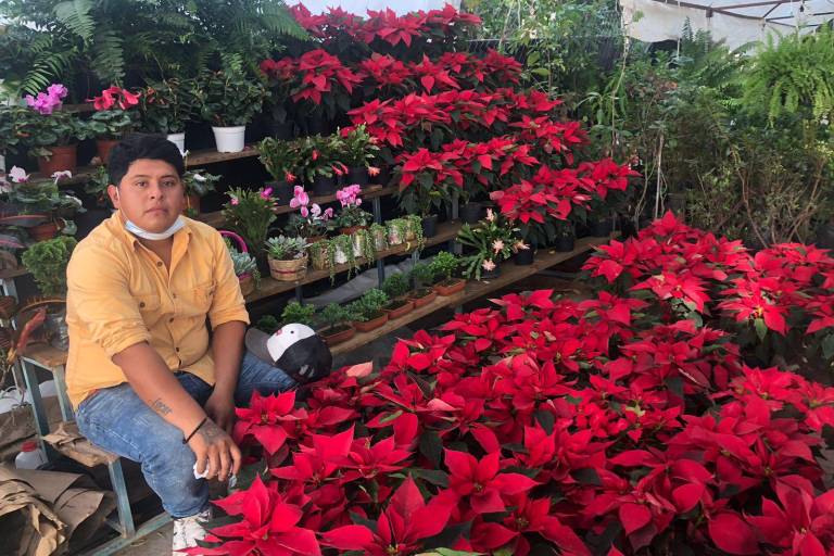 Ángel Santos llega cada temporada a Culiacán con más de 5 mil Nochebuenas