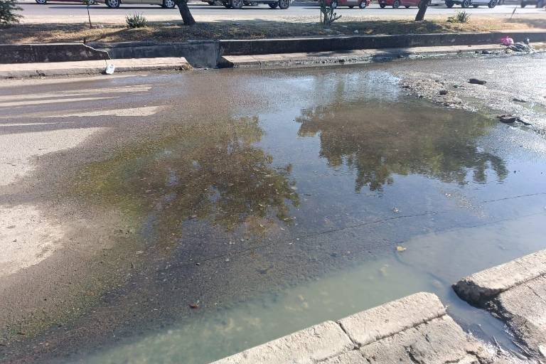 Continúa Infonavit Jabalíes con problemas de fugas de aguas negras y fétidos olores