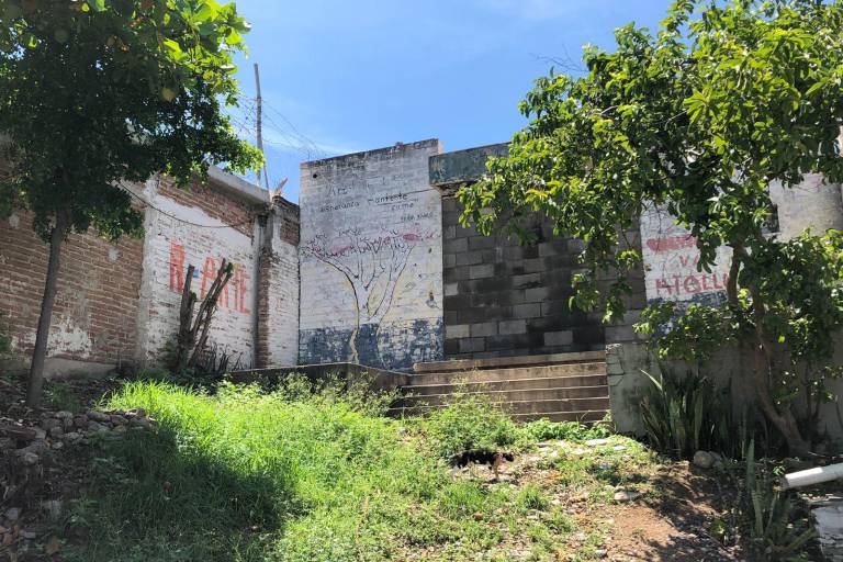 Mari rescata y esteriliza perritos en Culiacán; quiere que Ayuntamiento le ceda un espacio para un refugio