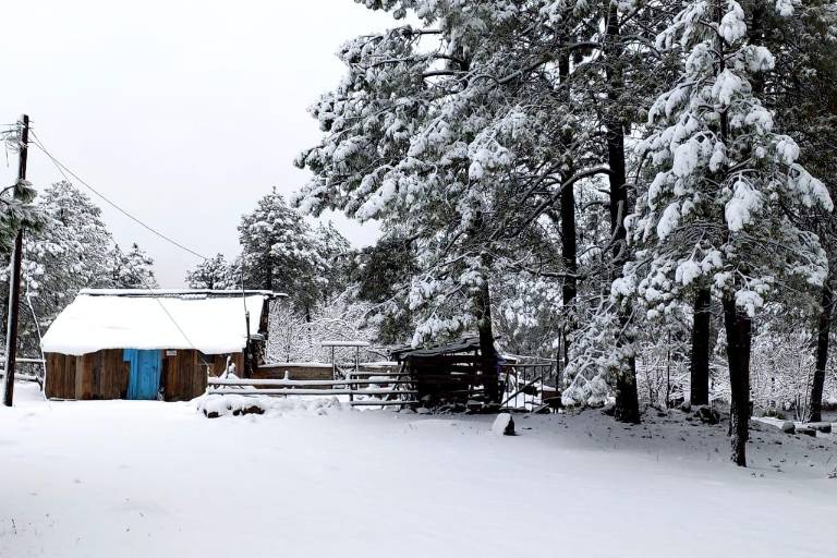 Caen las primeras nevadas en la sierra de Durango