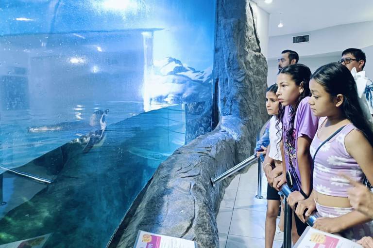 Niñas y niños de Huixiopa, Badiraguato, conocen por primera vez el mar, y sus especies en el Gran Acuario Mazatlán
