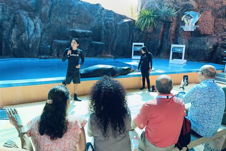 Disfrutan del Gran Acuario Mazatlán como parte de la Fiesta Amigos de Mazatlán