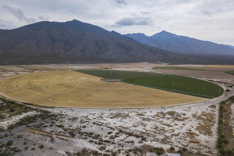Salvar o destruir el Valle de Cuatrociénegas