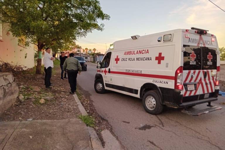 Ataque de abejas en Culiacán deja al menos 3 heridos