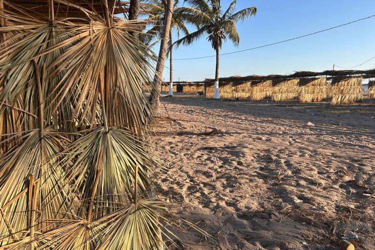 Construcción de las enramadas para las Fiestas del Mar de Las Cabras, en Escuinapa.