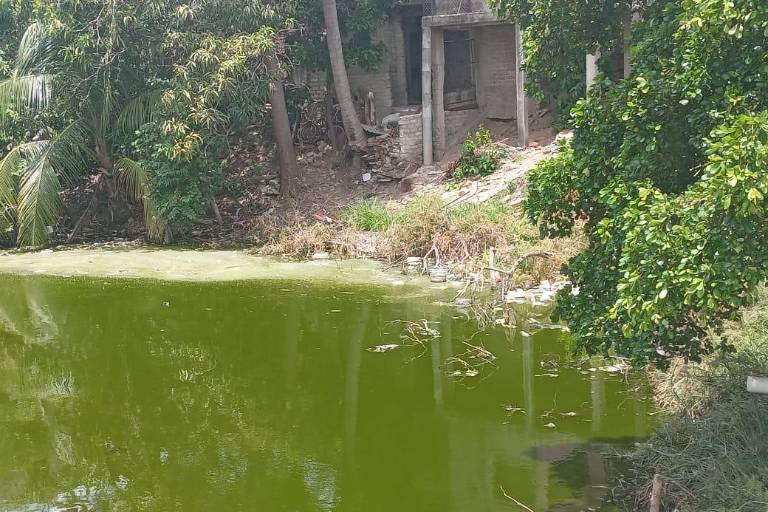 Alertan por contaminación y mortandad de peces en laguna urbana de El Rosario